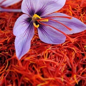 zaferan